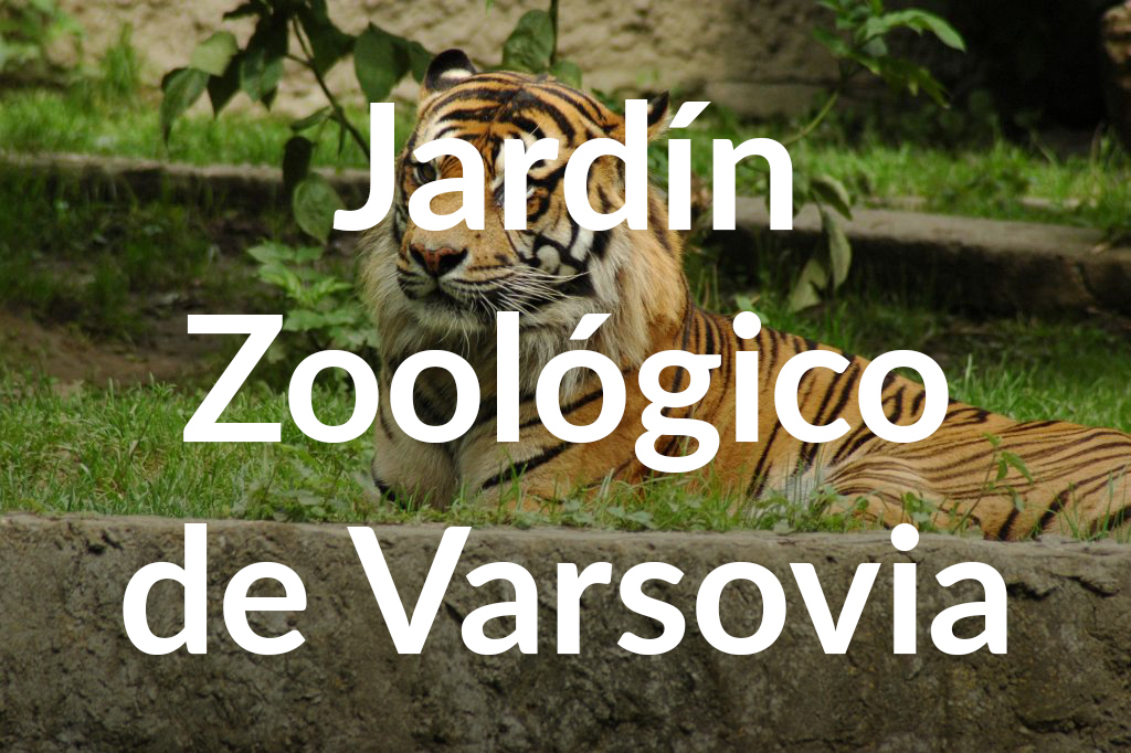 Warszawski Ogród Zoologiczny, fot. Anna Witkowska