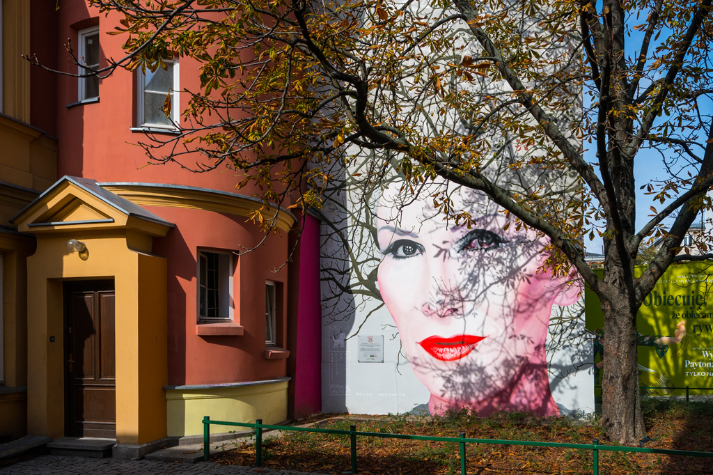 Mural Kory Jackowskiej, ul. Nowy Świat 18/20, fot. Filip Kwiatkowski